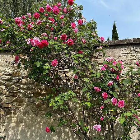 La Mazemat, Spacieux, Jardin Et Vue Montagne Lägenhet Mazamet